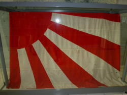 p1010139_3.jpg
