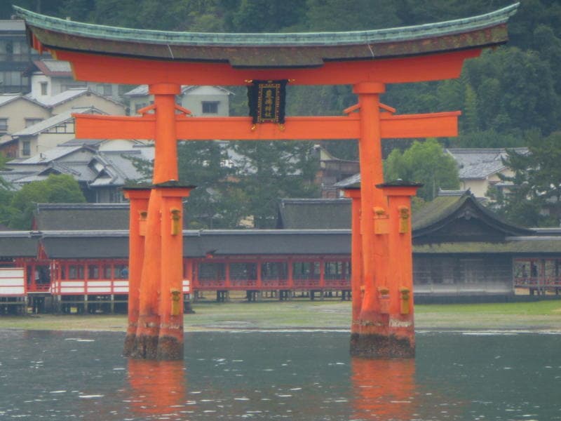 p1010242_2_lb.jpg